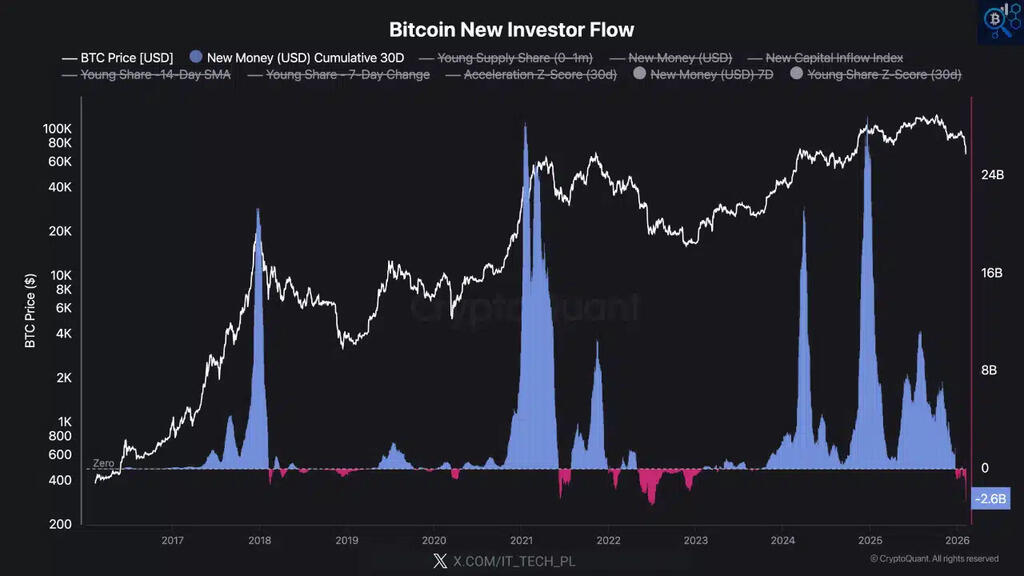 Bitcoin New Investor Flow